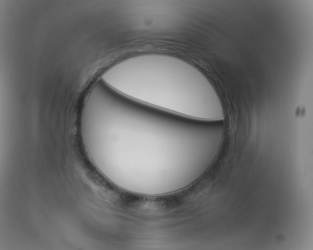 X0000113910303200909241312