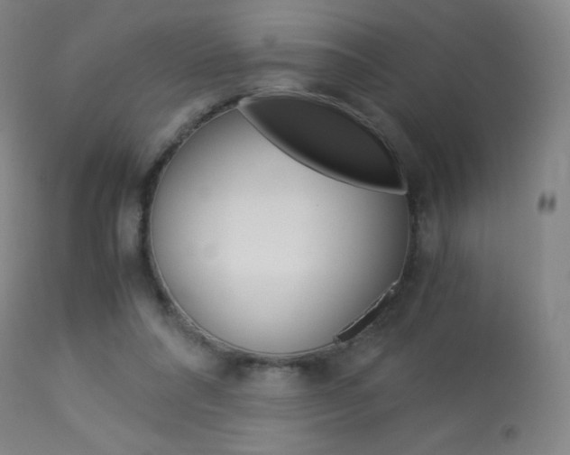 X0000113910304200909241312