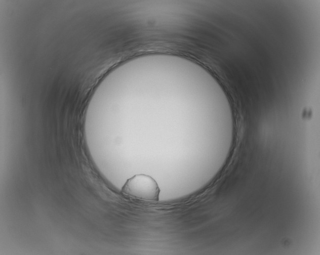 X0000113910305200909241312