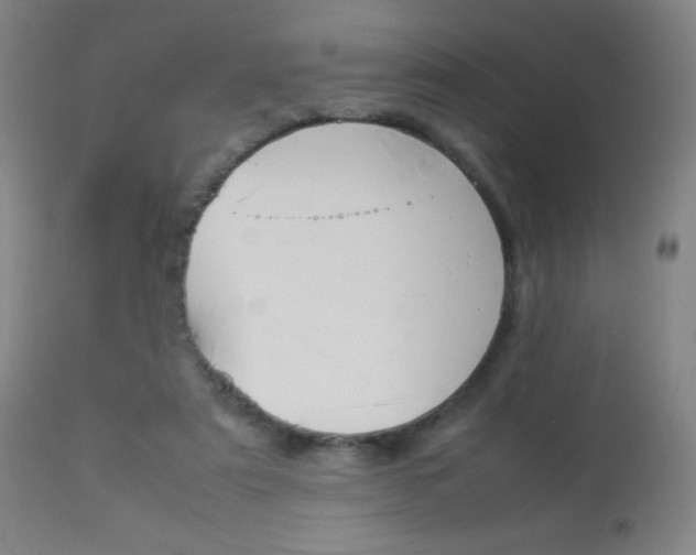X0000113910307200909241312
