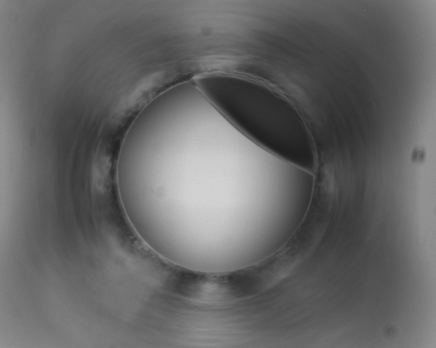 X0000113910308200909241312