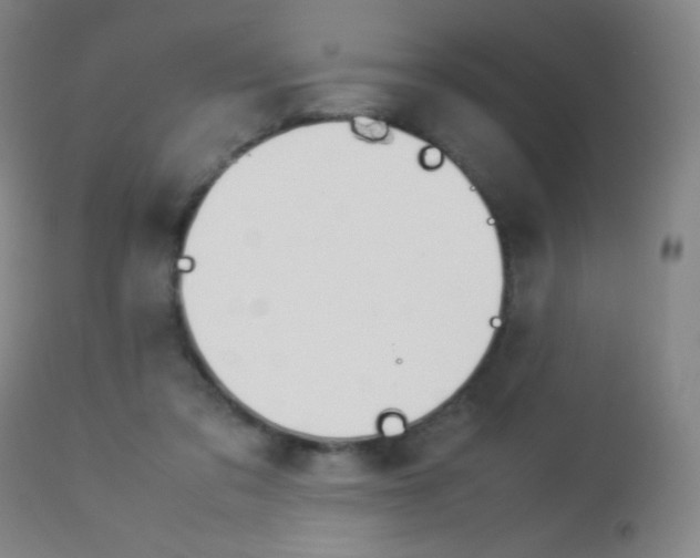 X0000113910309200909241312