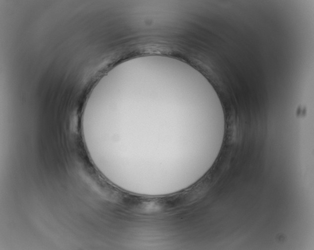 X0000113910310200909241312