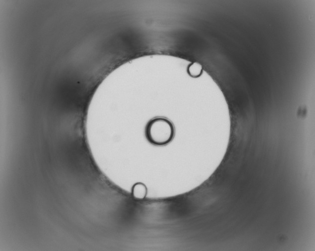 X0000113910313200909241312