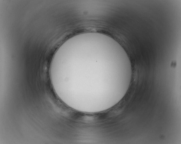 X0000113910314200909241312