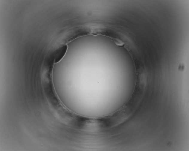 X0000113910316200909241312
