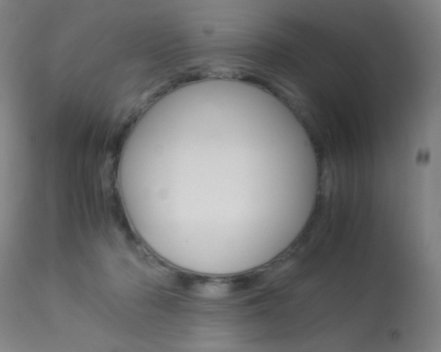 X0000113910318200909241312