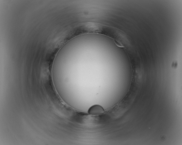 X0000113910320200909241312