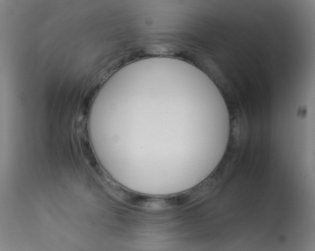 X0000113910322200909241312