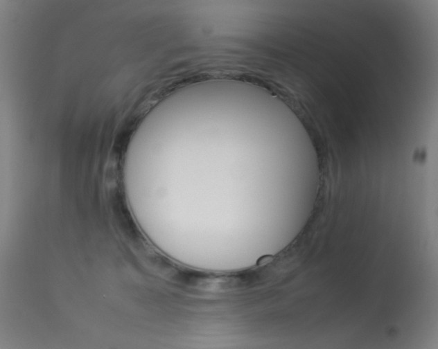 X0000113910323200909241312