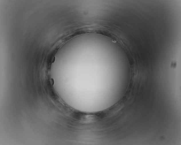 X0000113910324200909241312