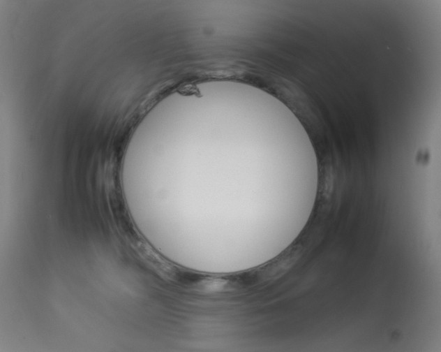 X0000113910326200909241312