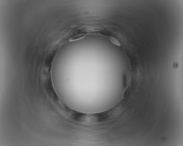 X0000113910327200909241312