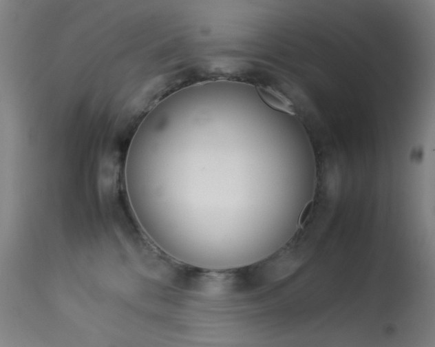 X0000113910328200909241312