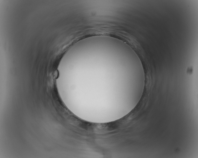X0000113910329200909241312