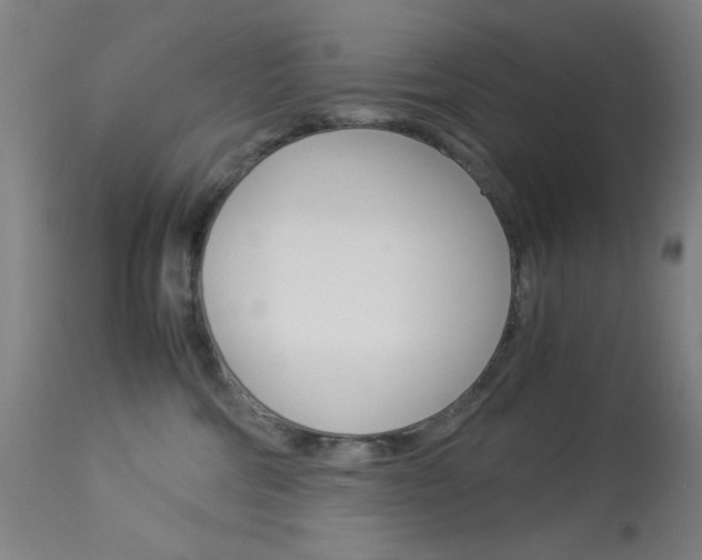 X0000113910330200909241312