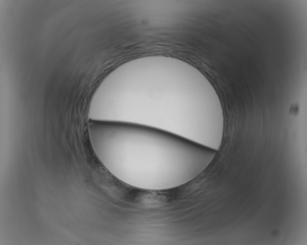 X0000113910331200909241312