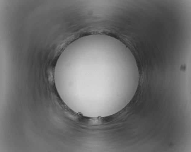 X0000113910335200909241312
