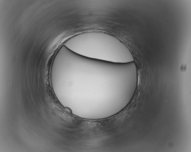 X0000113910339200909241311