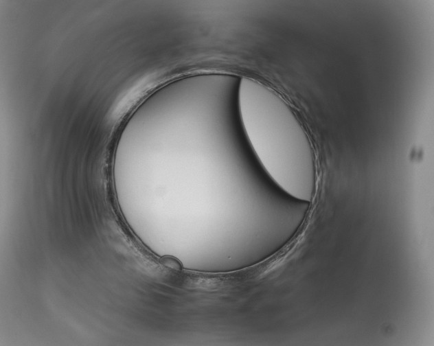 X0000113910341200909241311
