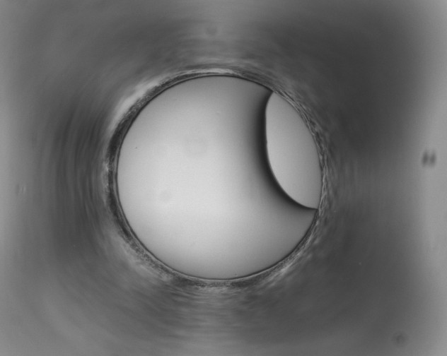 X0000113910342200909241311