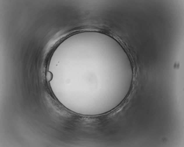 X0000113910343200909241311