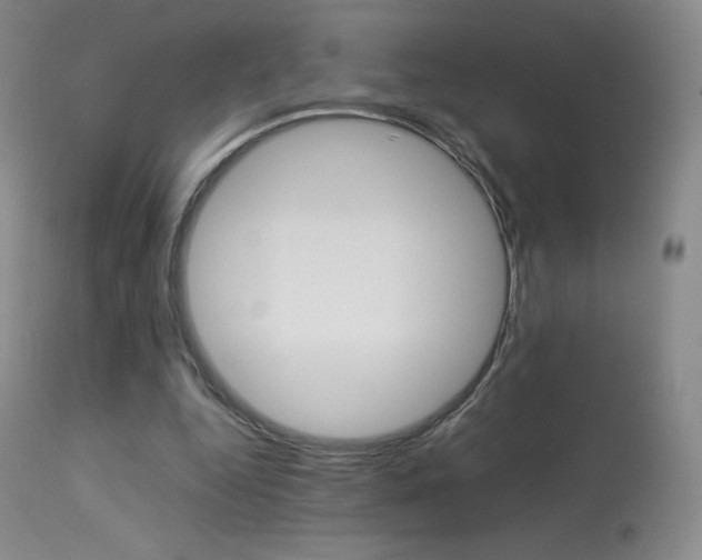 X0000113910344200909241311