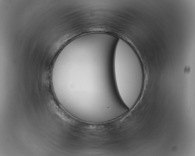X0000113910345200909241311