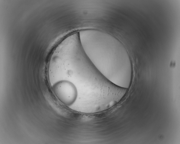 X0000113910346200909241311