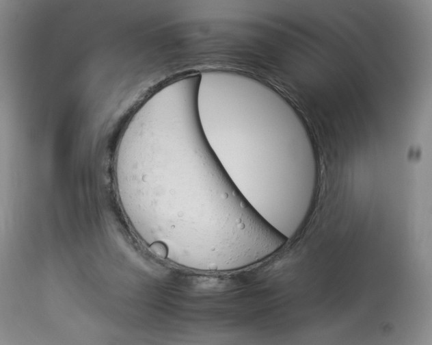 X0000113910347200909241311