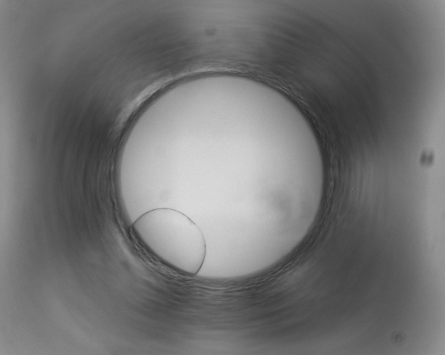 X0000113910348200909241311
