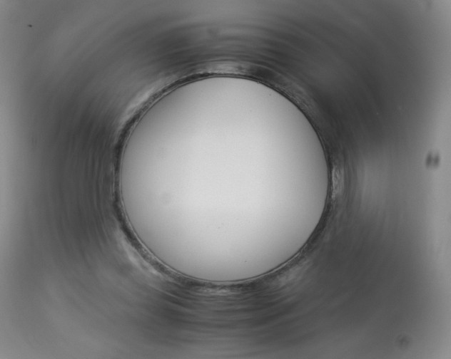 X0000113910349200909241311