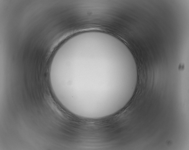 X0000113910350200909241311