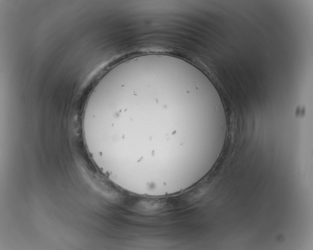 X0000113910351200909241311