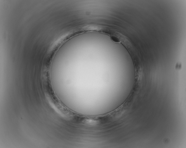 X0000113910352200909241311