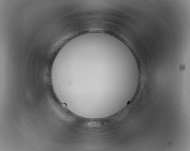 X0000113910353200909241311