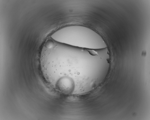 X0000113910354200909241311