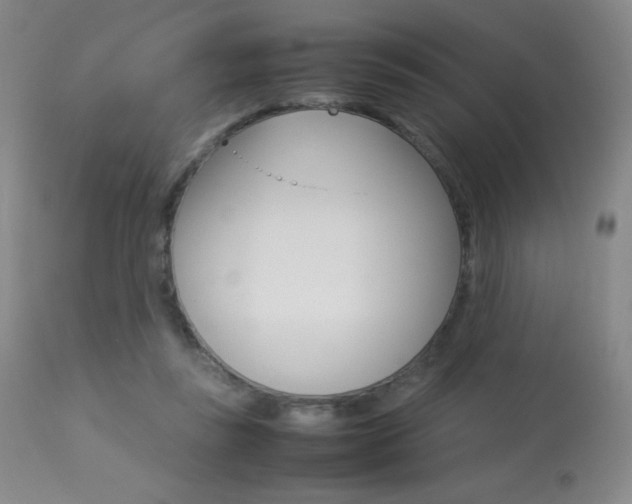 X0000113910355200909241311