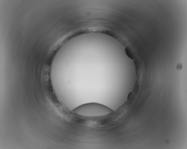 X0000113910356200909241311
