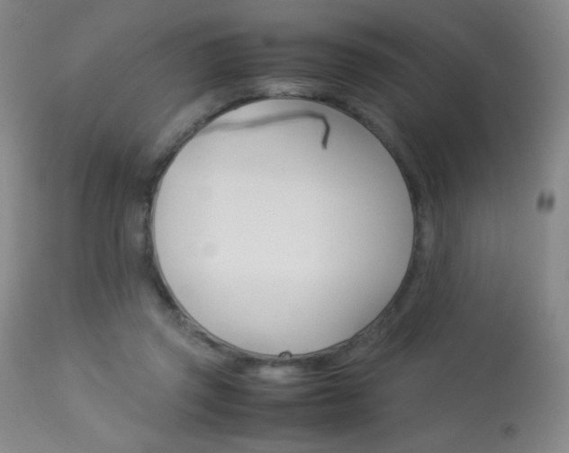 X0000113910357200909241311