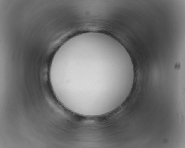 X0000113910358200909241311