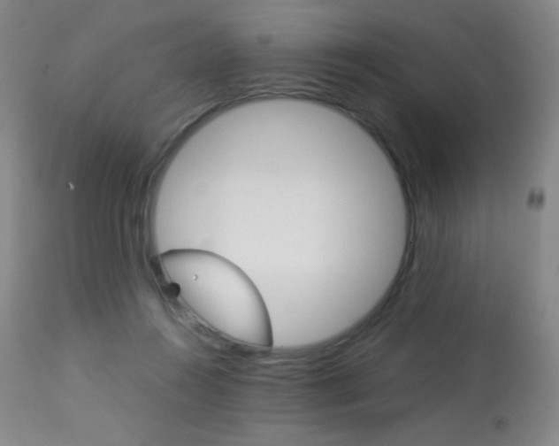 X0000113910360200909241311