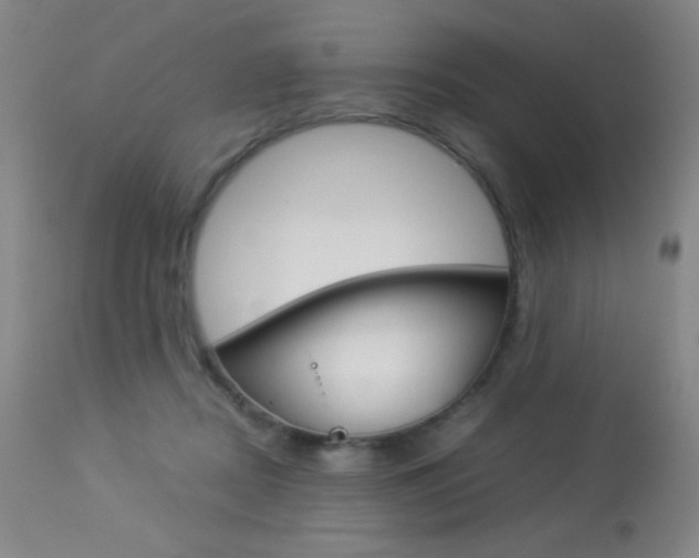 X0000113910362200909241311