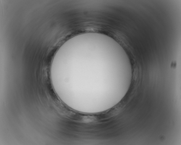 X0000113910363200909241311