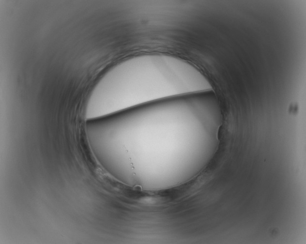 X0000113910364200909241311