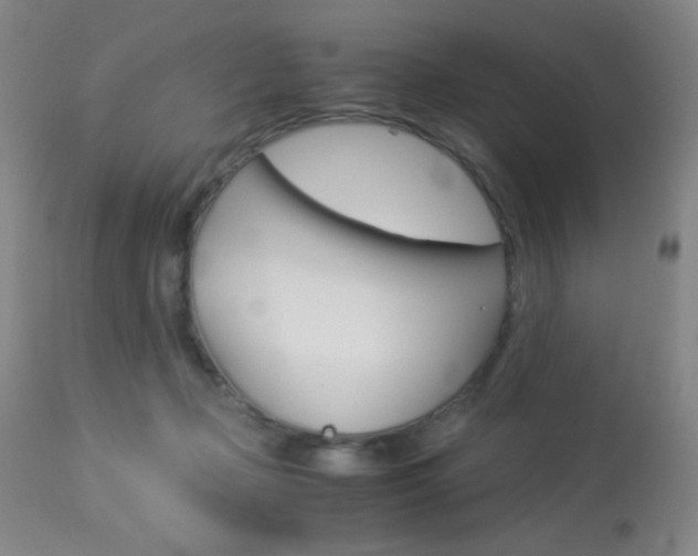 X0000113910365200909241311