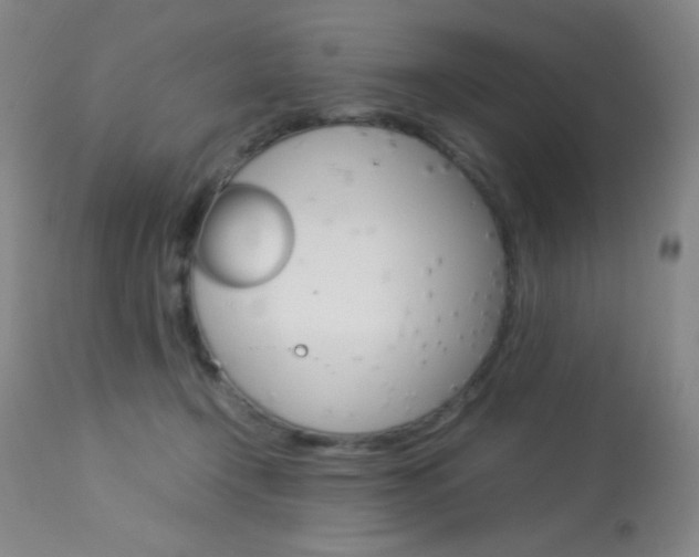 X0000113910366200909241311