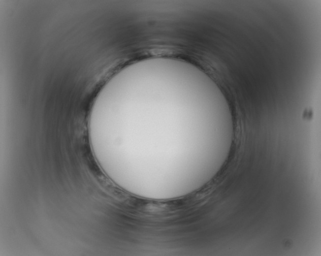 X0000113910367200909241311