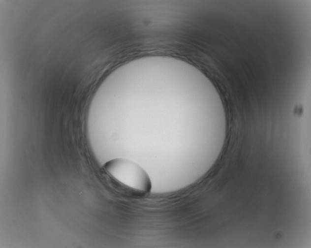 X0000113910368200909241311