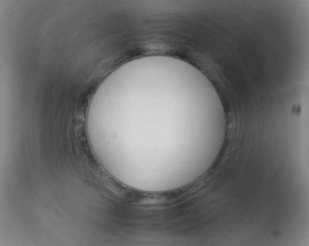 X0000113910369200909241311